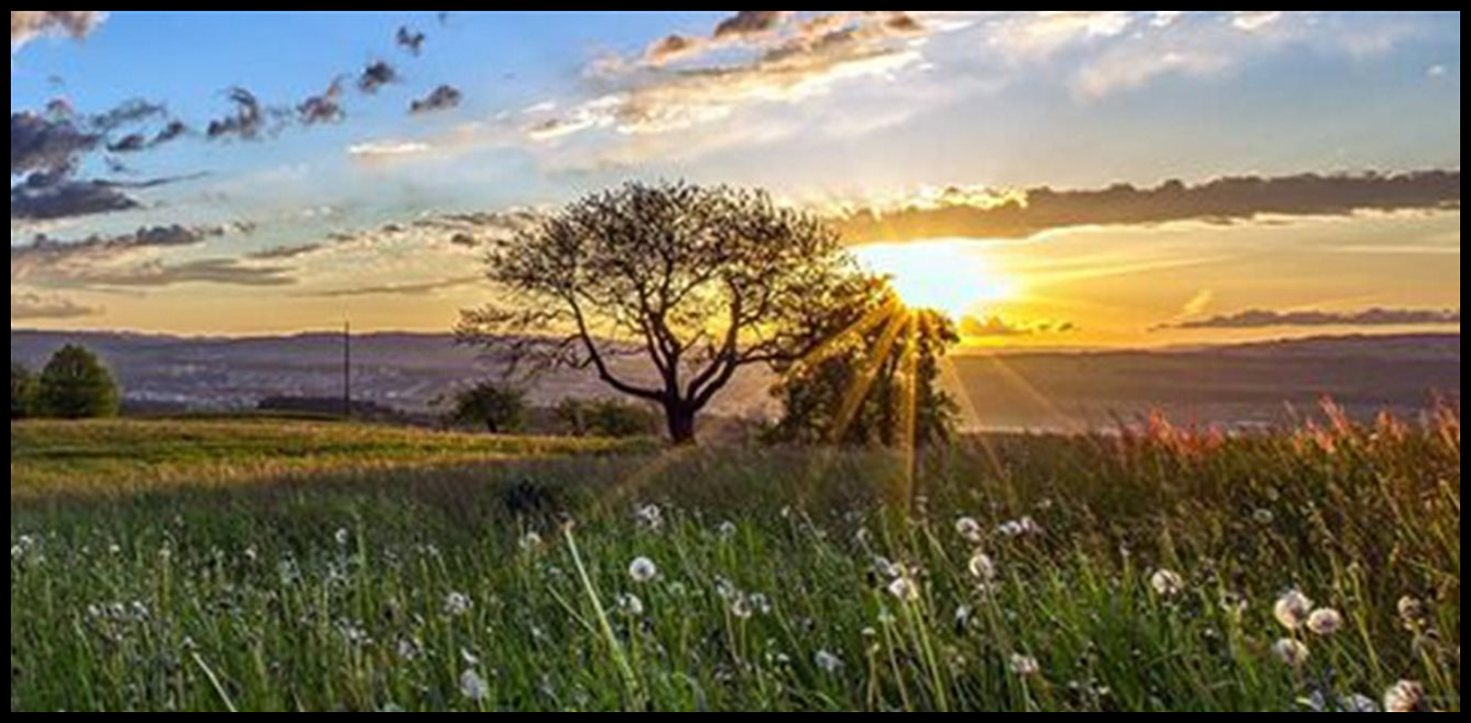 Doc P 1518586 639129724924919215