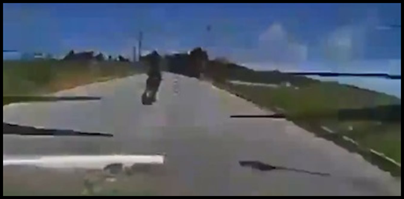 Doc P 1519237 639130821403708472