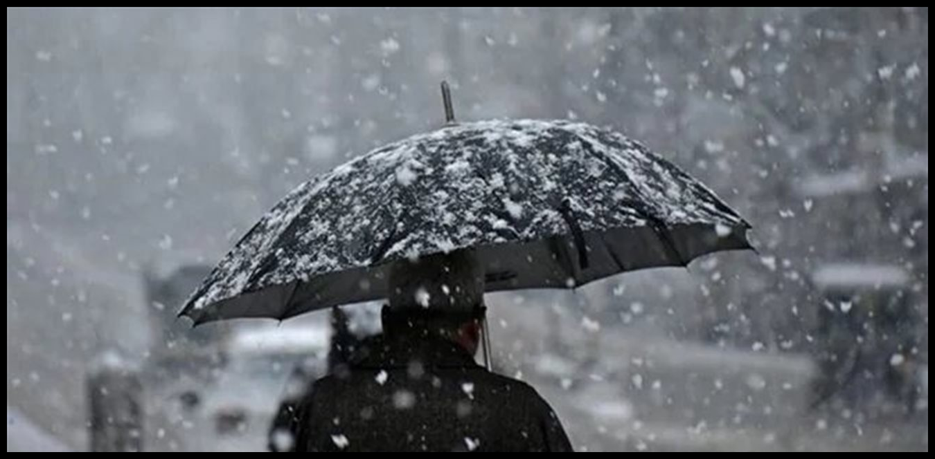 Doc P 1519490 639131407609962751