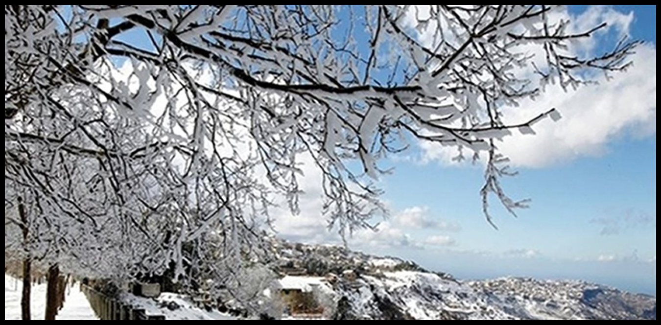 Doc P 1519755 639131808385705859