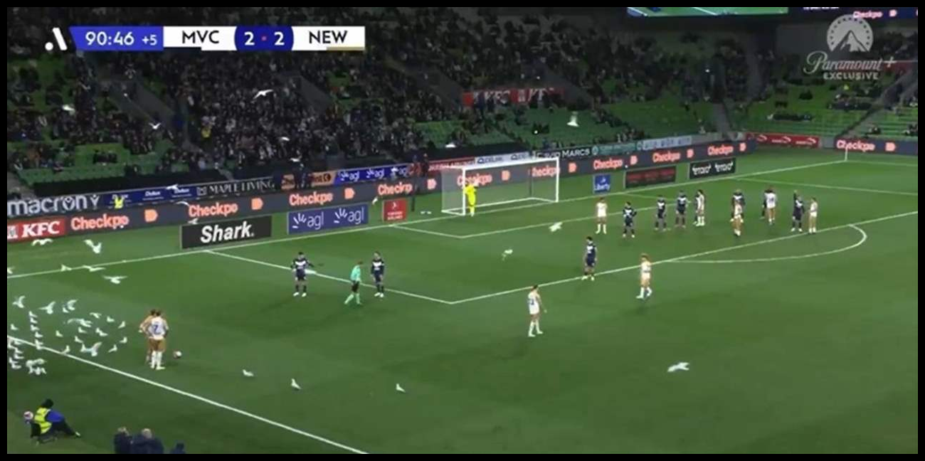 Doc P 569830 639120927863507643