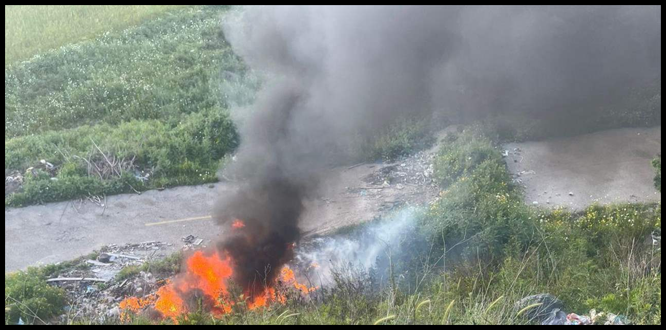 Doc P 570179 639122948656246426