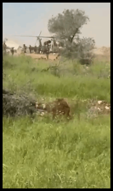 Doc P 571087 639128336380425764