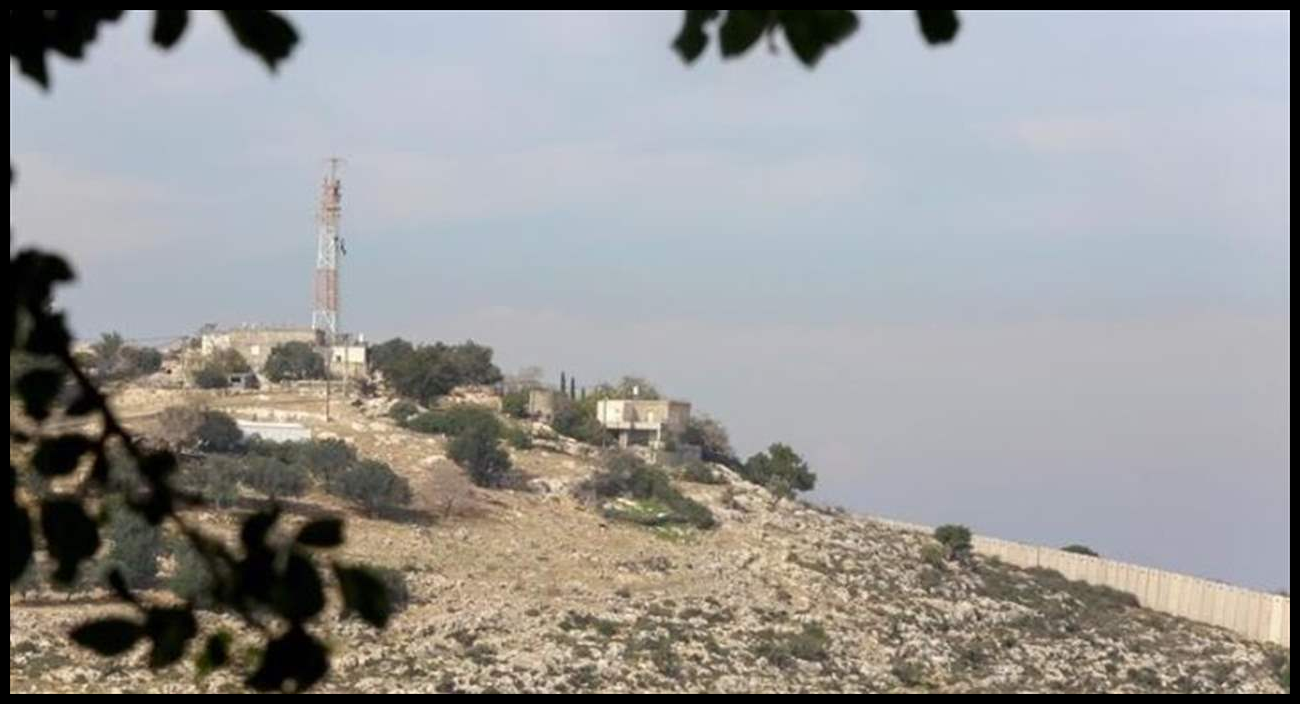 Doc P 571389 639130396602804655