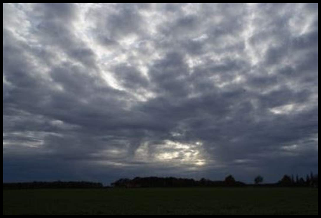 Doc P 571555 639131381339272932