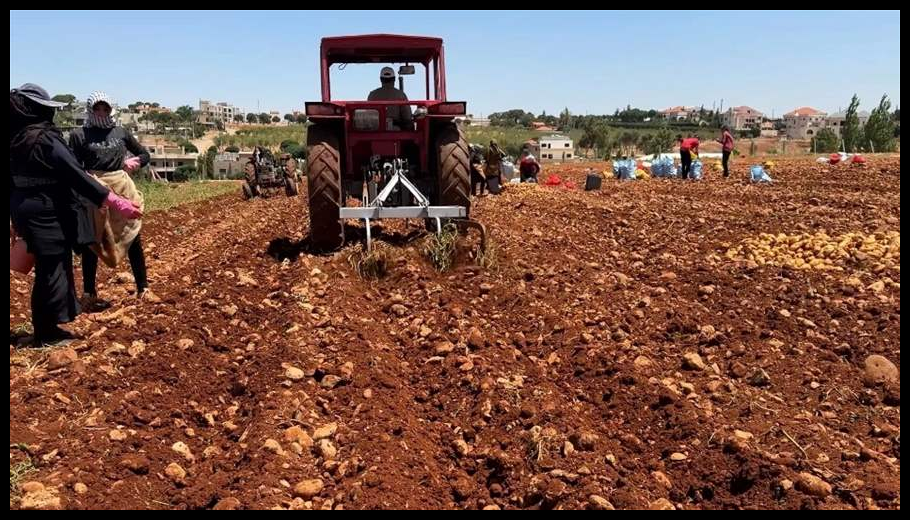 وزارة الزراعة: 22% من الأراضي الزراعية في لبنان تضررت والأمن الغذائي بخطر 1 Doc T 921500 639109172053745988