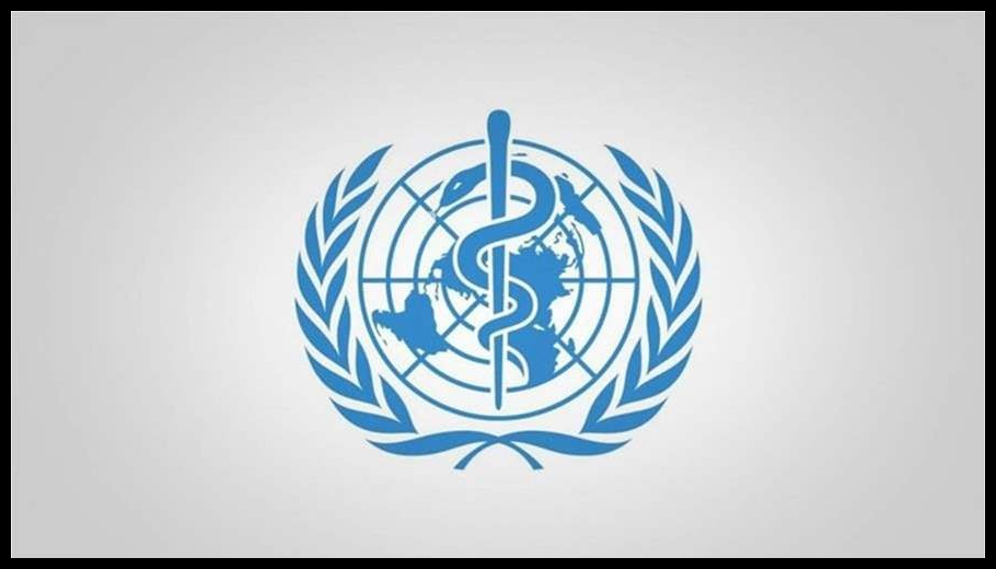 Doc T 923248 639113406855898539