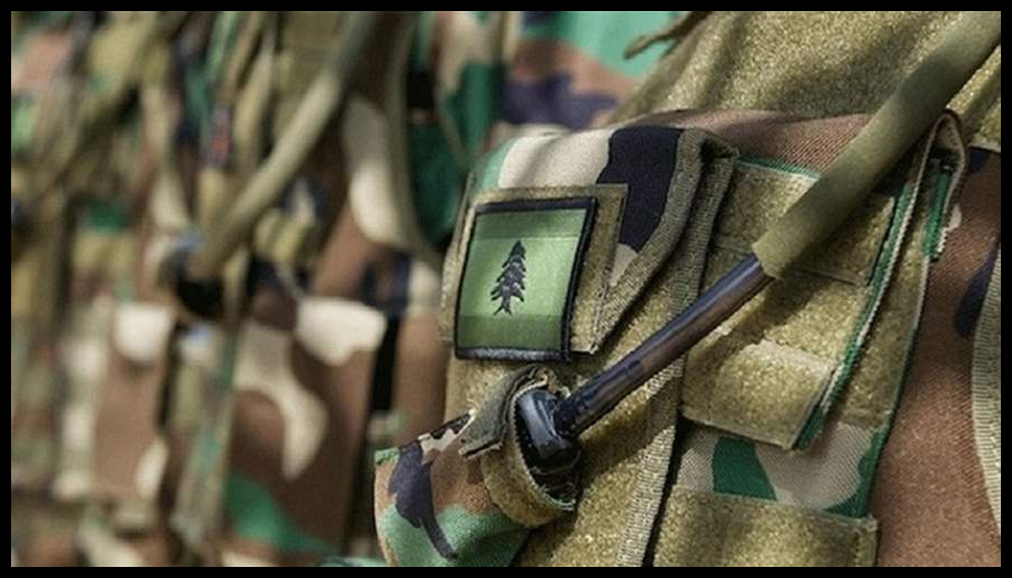 الجيش: توقيف شخص لتورّطه في إشكال فردي تخلله إطلاق نار 1 Doc T 923881 639115365473111208