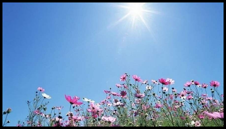 عودة الاستقرار... والحرارة ثلاثينية منتصف الأسبوع 1 Doc T 924144 639116560601500308