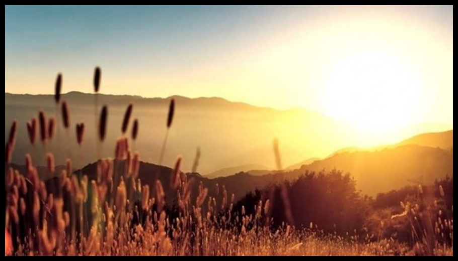 Doc T 924895 639118298537389183