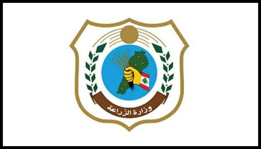 Doc T 925837 639120368213479755