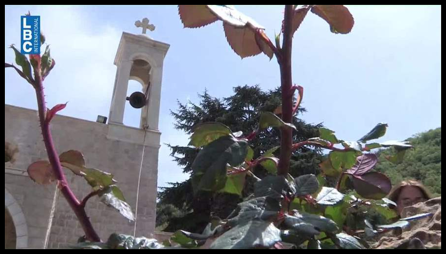 Doc T 925891 639120454117808827