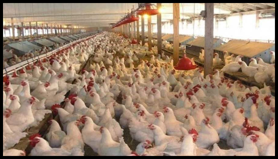 Doc T 926465 639122916256953328