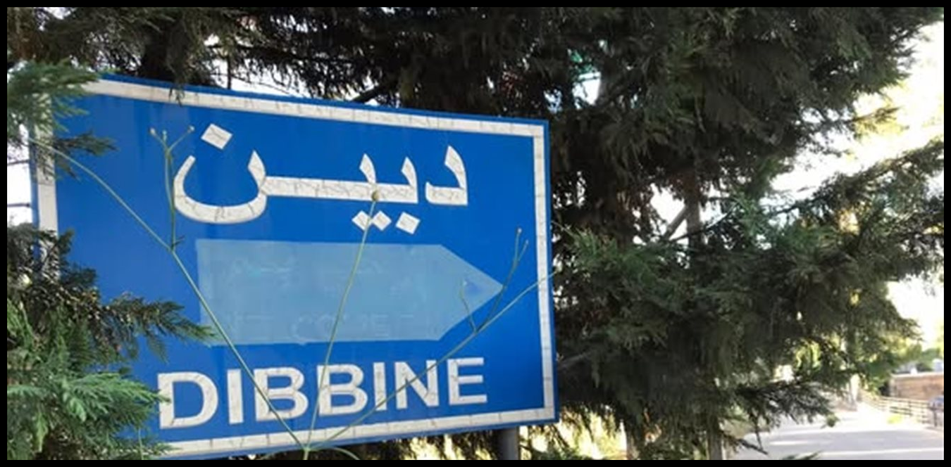 دبين تحت النار… قصف مدفعي عنيف يهزّ المنطقة 1 Doc P 1531338 639156077806585118