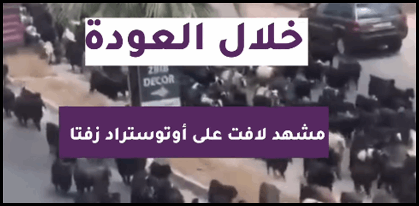 بالفديو: خلال العودة.. مشهد لافت على اوتوستراد زفتا 1 Doc P 1539118 639171201593737390